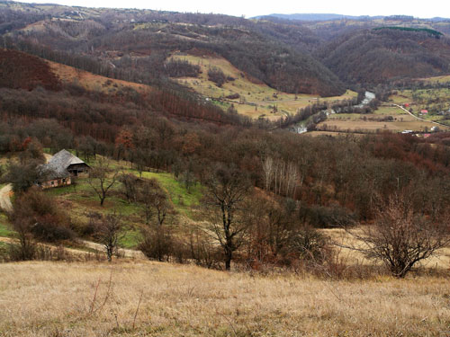 Foto Peisaj Lapus (c) Petru Goja